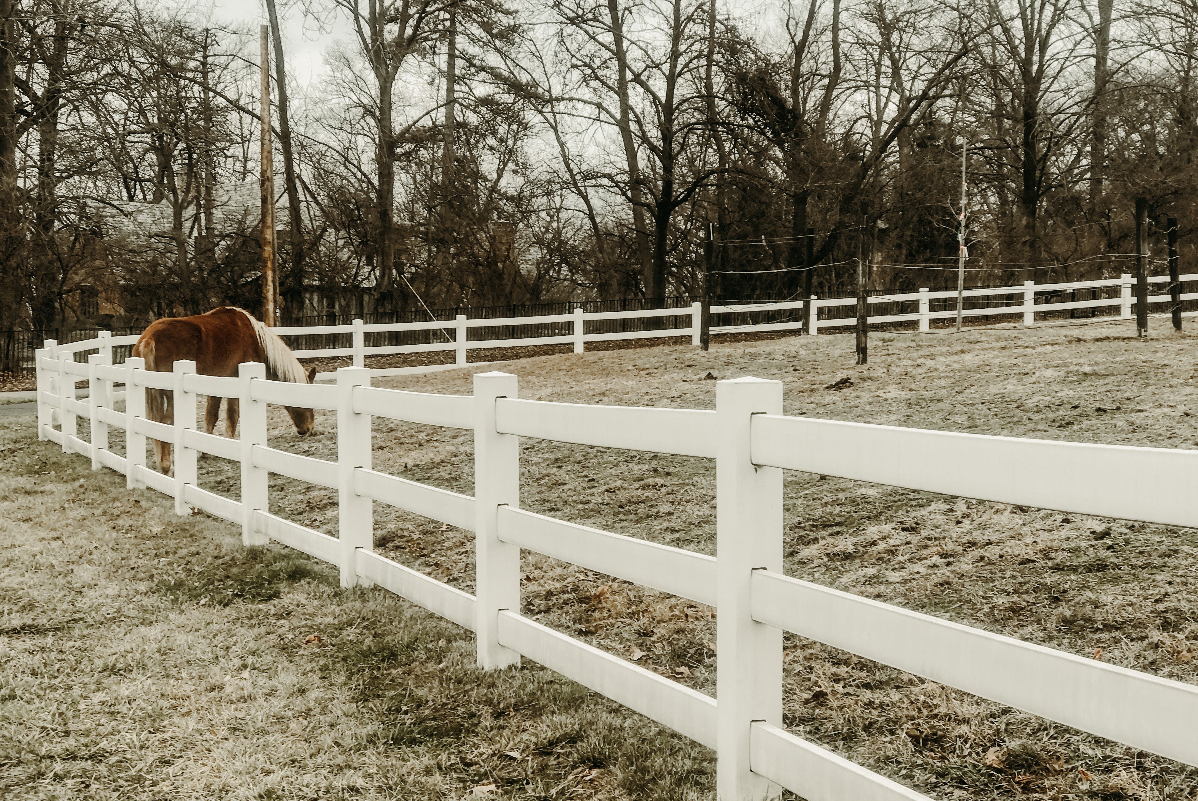 Longview Farm Park Town and Country, Missouri Amber Seagraves Studio Seagraves