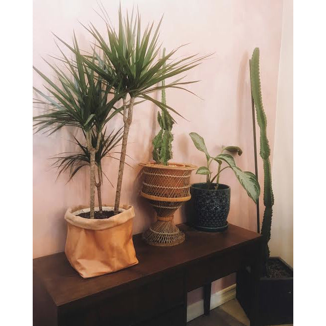 Leather Sak Planter by Amber Seagraves